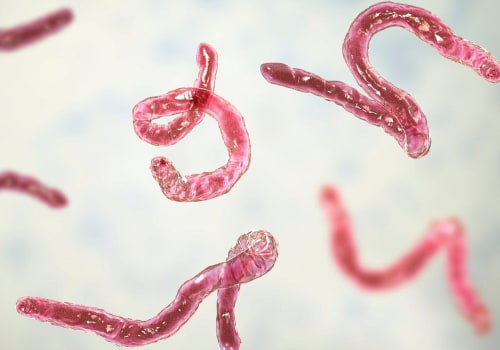 All You Need to Know About 'Parasite'