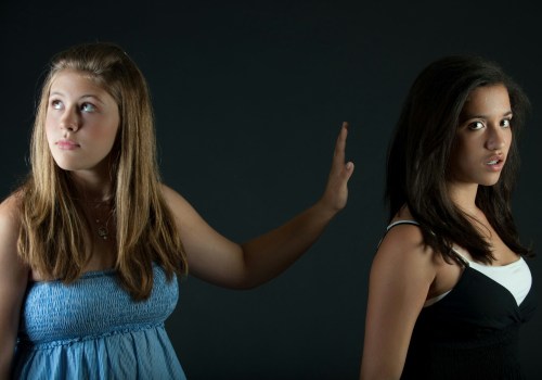 Exploring the World of Mean Girls